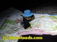 /home//u458753944/public_html/sourcegallery///////////////////////Roxborough Toad Detour/2013-2019/2017/P4110722.JPG